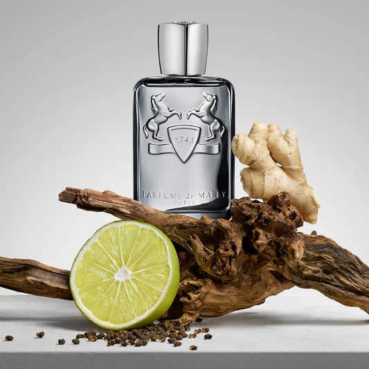 Parfums De Marly Castley Eau De Parfum For Men 125 ML (Release 2025)