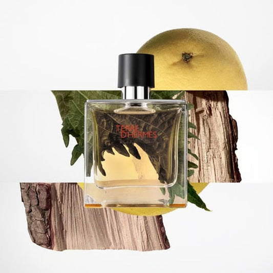 Hermes Terre d’Hermes Parfum For Men