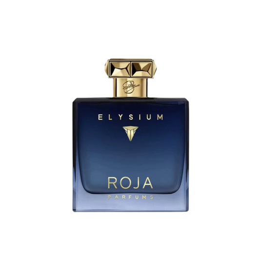 Roja Parfums Elysium Pour Homme Eau De Parfum for Men 100 ML