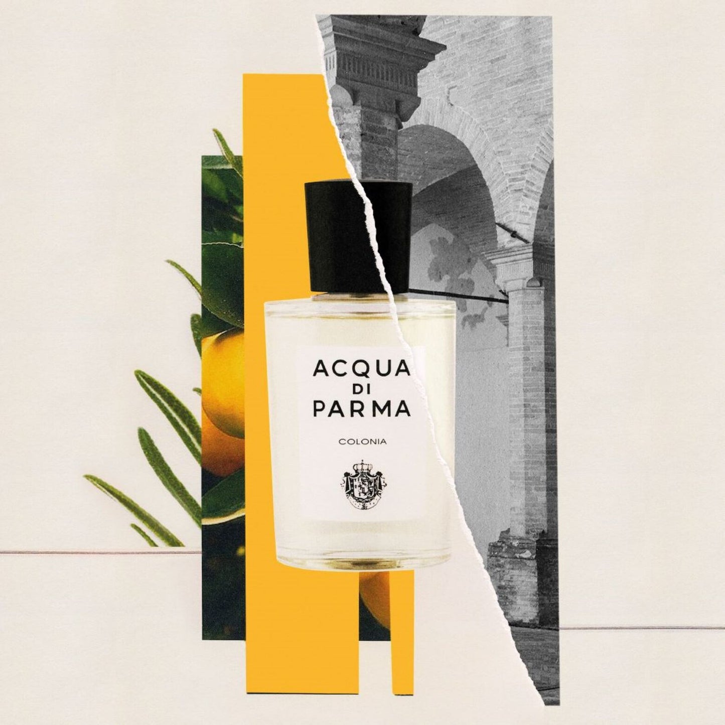 Acqua Di Parma Colonia Eau De Cologne for Men & Women 100 ML