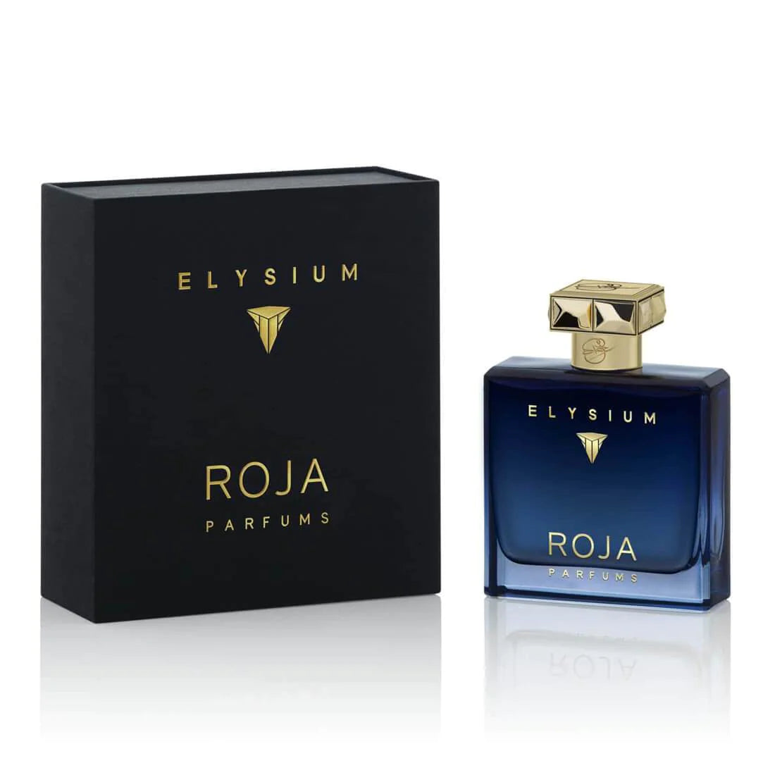 Roja Parfums Elysium Pour Homme Eau De Parfum for Men 100 ML