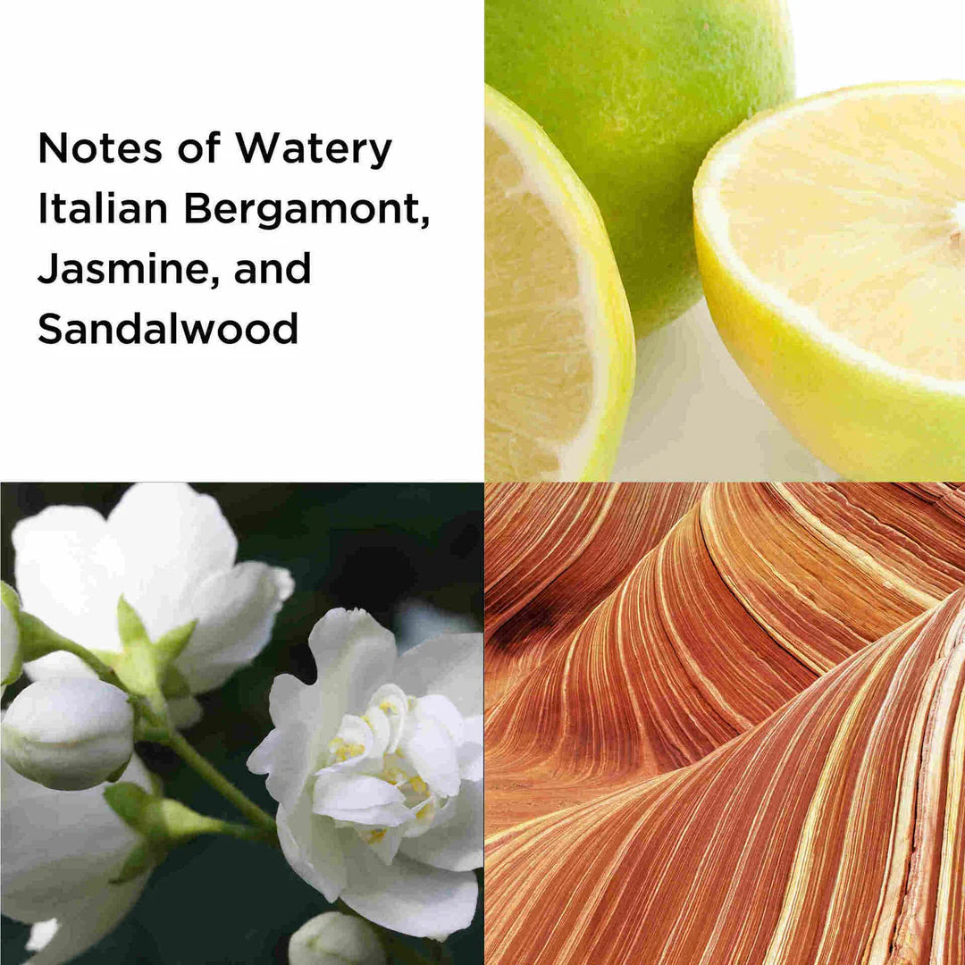 Elizabeth Arden Sunflowers Eau De Toilette For Women 100 ML