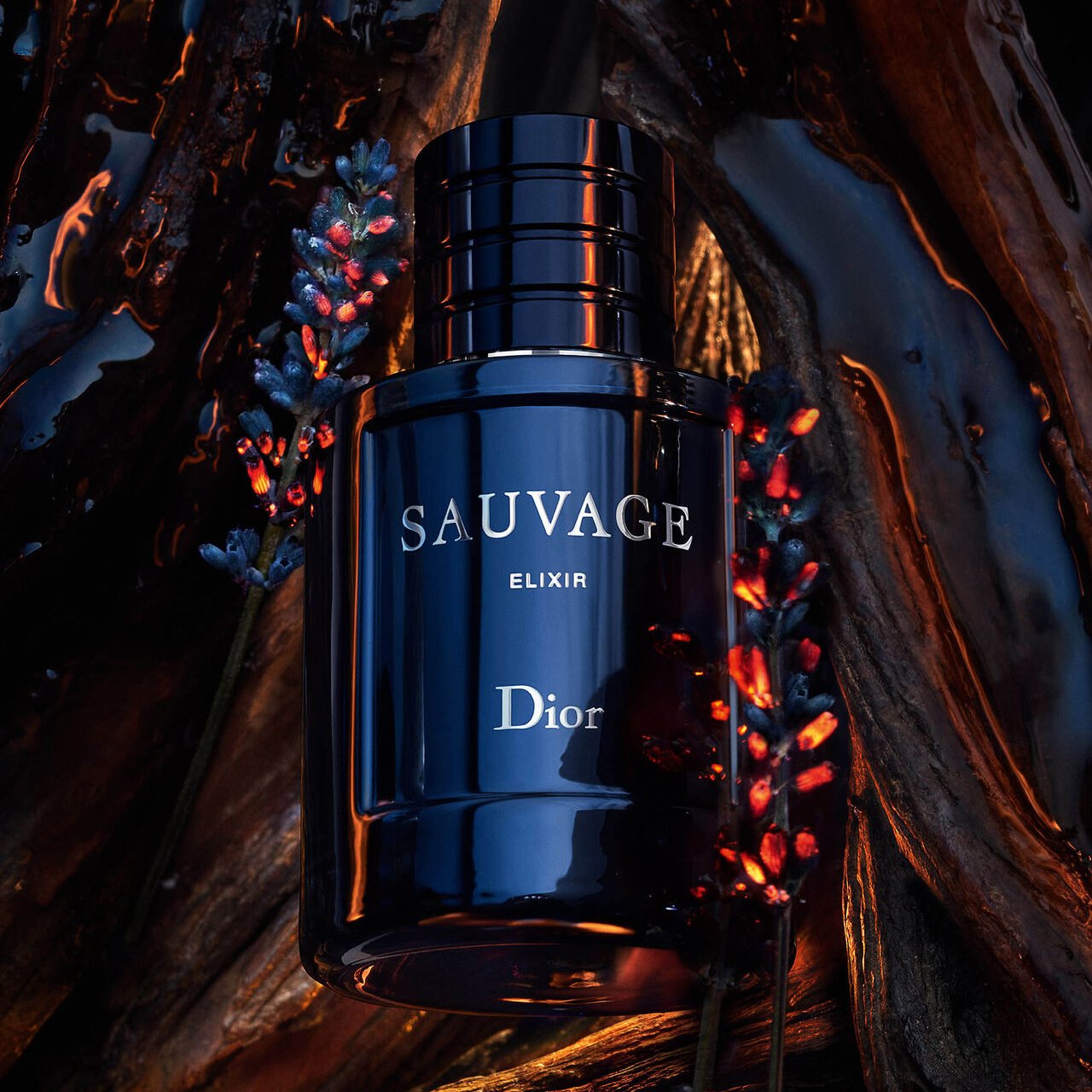Dior Sauvage Elixir for Men 100 ML