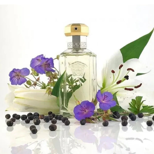 Versace Dreamer Eau De Toilette for Men 100 ML