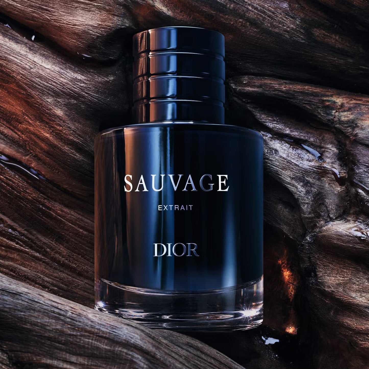 Dior Sauvage Extrait De Parfum For Men 50 ML (2026 Release)