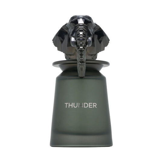 French Avenue Thunder Extrait Eau De Parfum For Men 100 ML