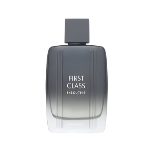 Aigner First Class Executive Eau De Toilette for Men 100 ML