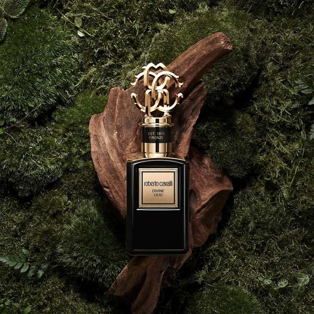 Roberto Cavalli Divine Oud Eau De Parfum For Me & Women 100 ML