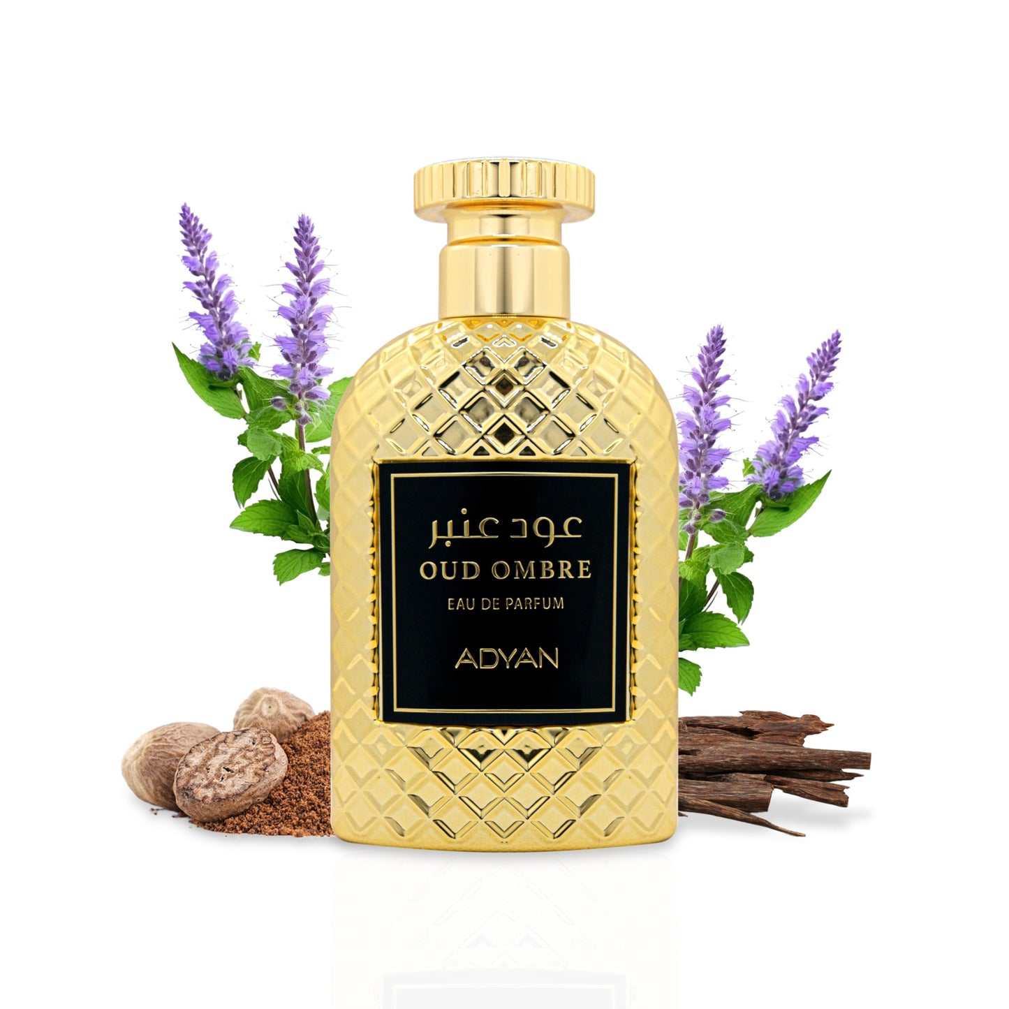 Anfar Adyan Oud Ombre Eau De Parfum For Men  100 ML