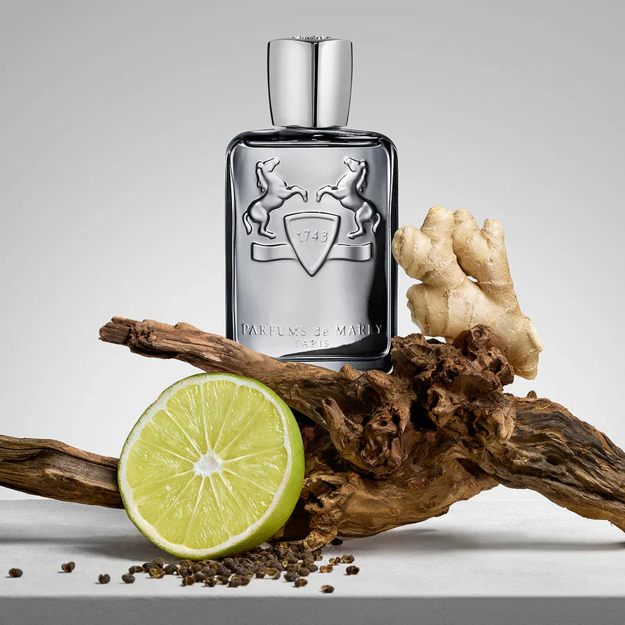 Parfums De Marly Castley Eau De Parfum For Men 125 ML (Release 2025)