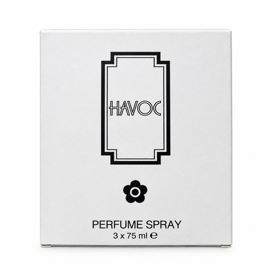 Havoc Silver Parfum for Men