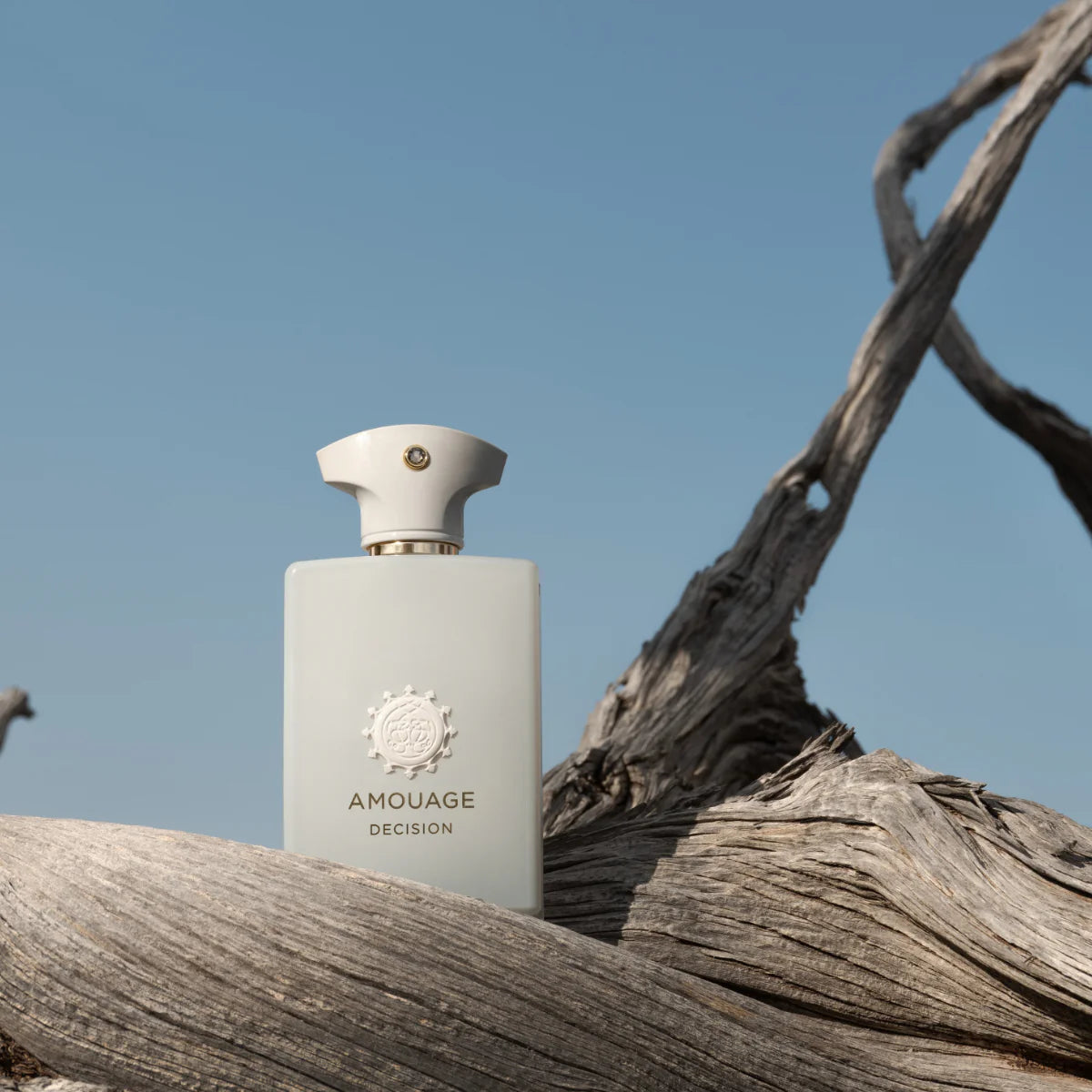 Amouage Decision Eau De Parfum For Men & Women 100 ML