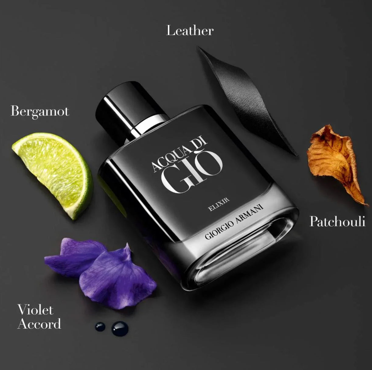 Giorgio Armani Acqua Di Gio Elixir Parfum For Men 50 ML