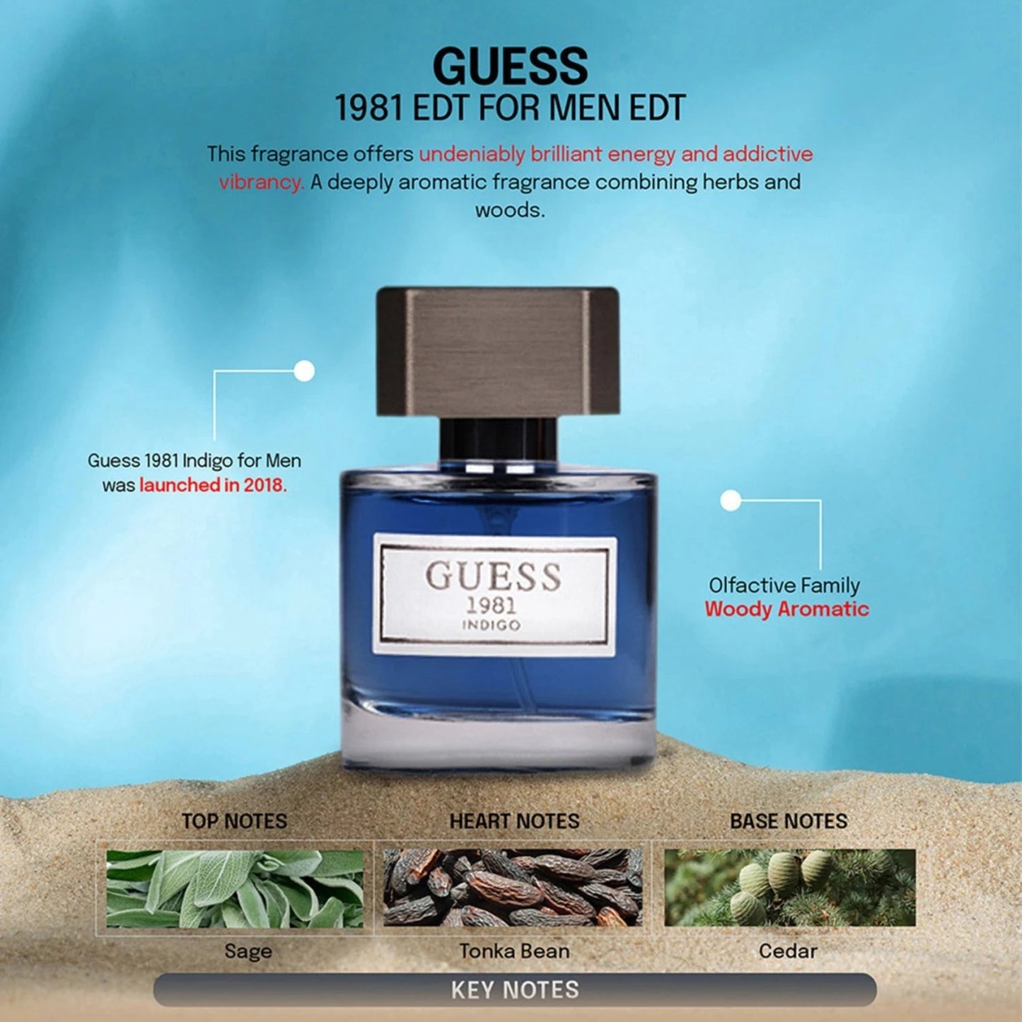 Guess 1981 Indigo Eau De Toilette For Men 100 ML