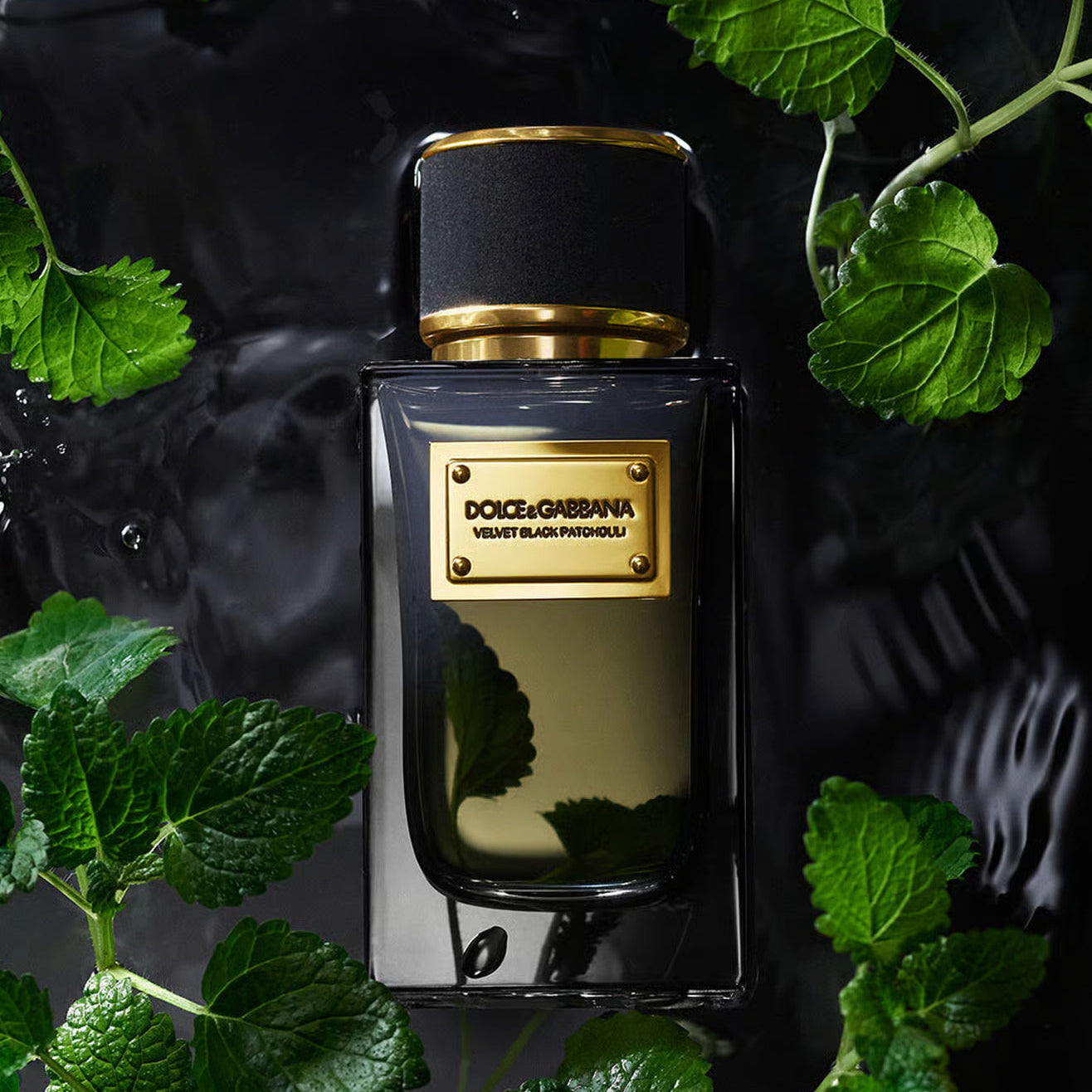 Dolce & Gabbana Velvet Black Patchouli Eau De Parfum or Men & Women 100 ML