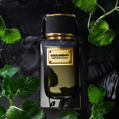 Dolce & Gabbana Velvet Black Patchouli Eau De Parfum or Men & Women 100 ML