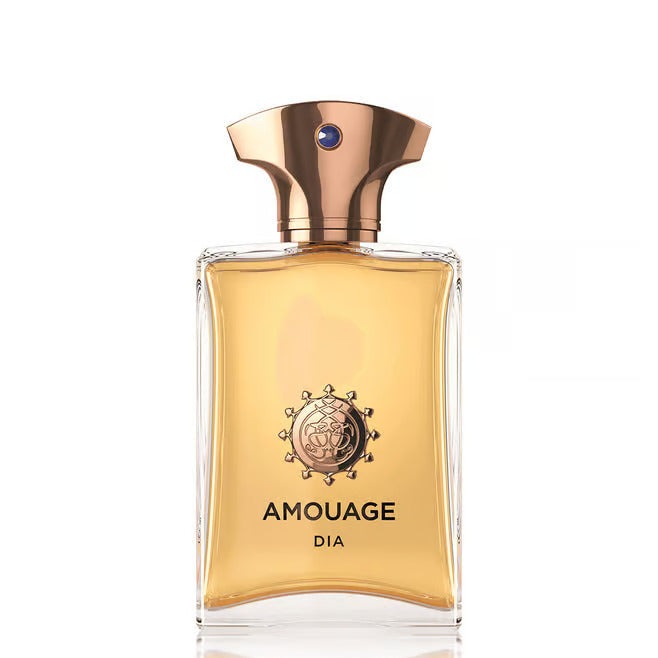 Amouage Dia Eau De Parfum For Men 100 ML