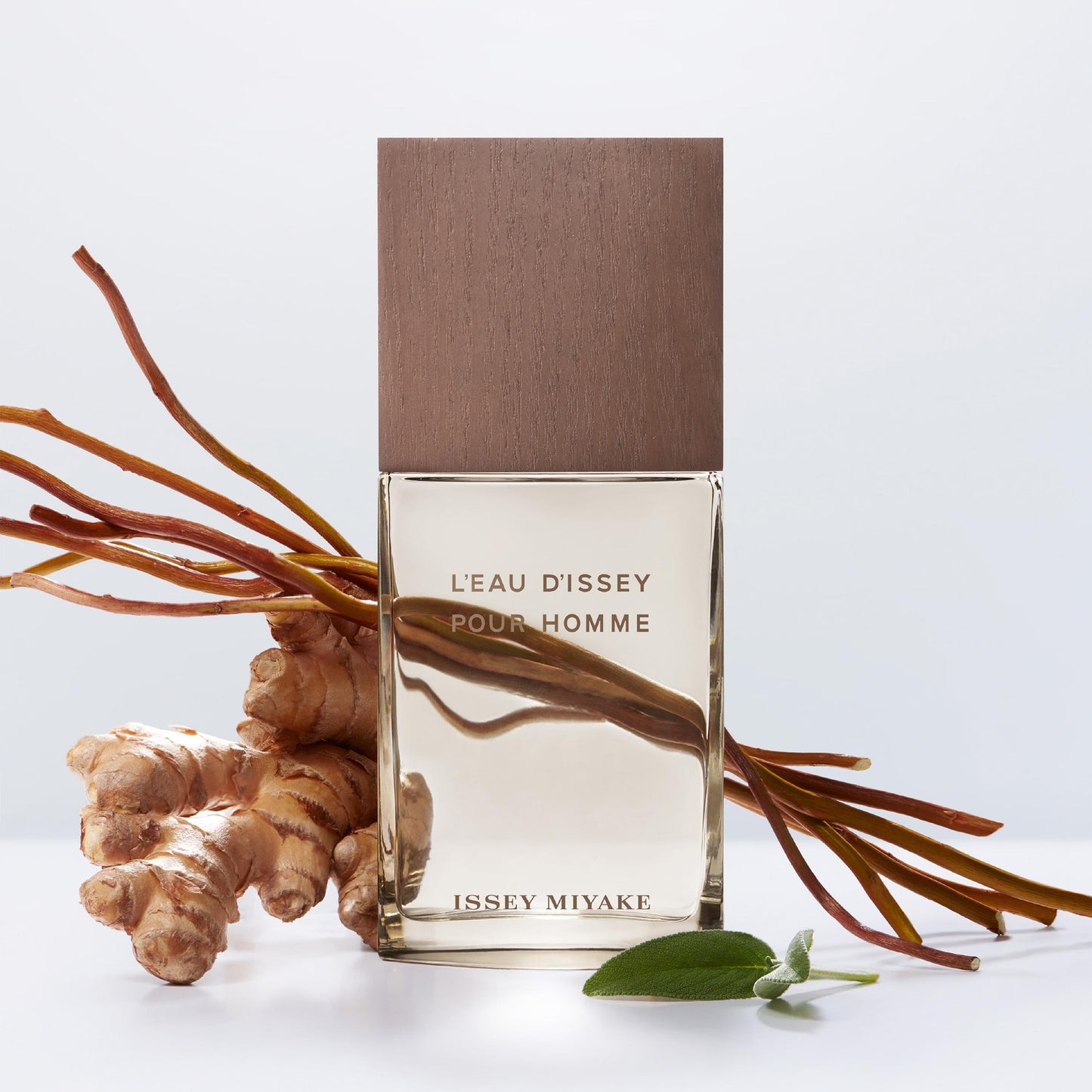 Issey Miyake  L'Eau D'Issey Pour Homme Vetiver Intense Eau De Toilette For Men 100 ML