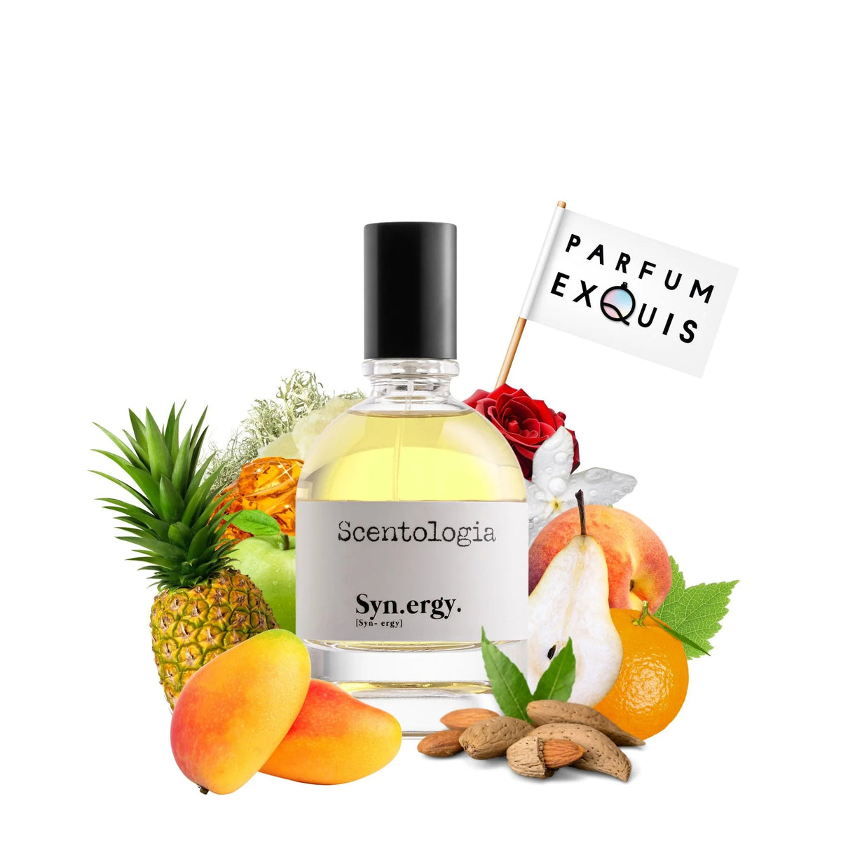Scentologia Synergy Eau De Parfum For Men & Women 100 ML