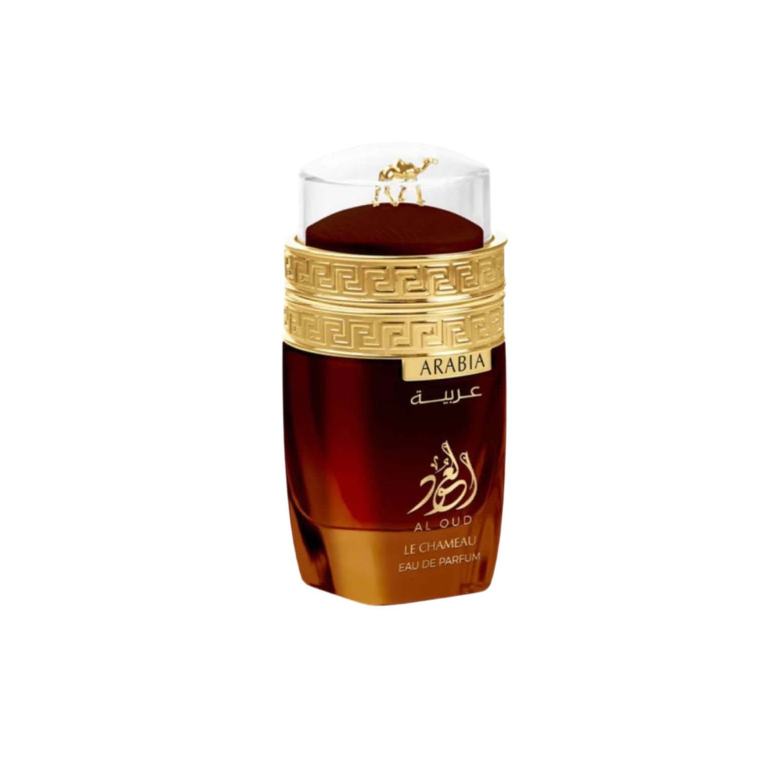 Le Chameau Arabia Al Oud Eau De Parfum For Men & Women 100 ML