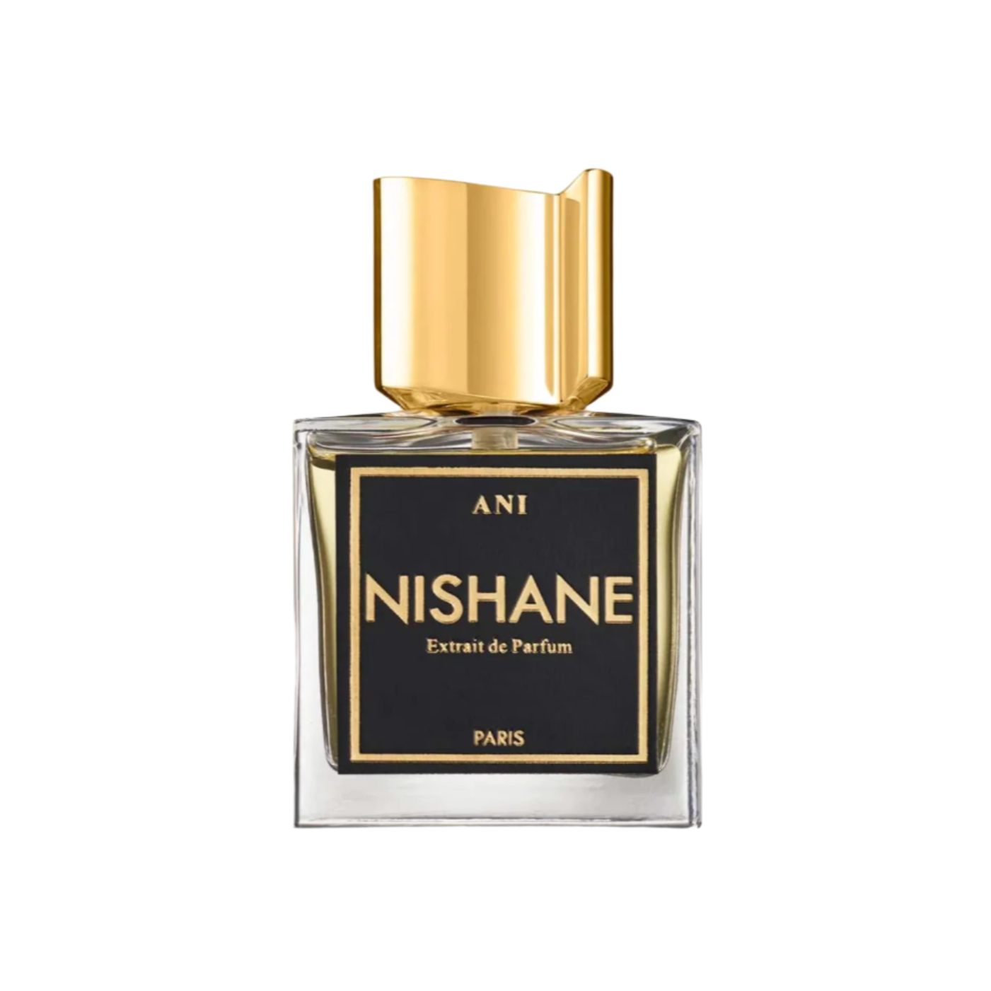 Nishane Ani Extrait De Parfum For Men & Women 100 ML