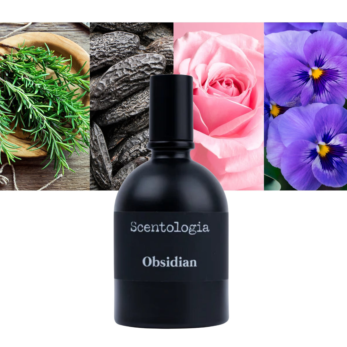 Scentologia Obsidian Extrait De Parfum For Men & Women 100 ML