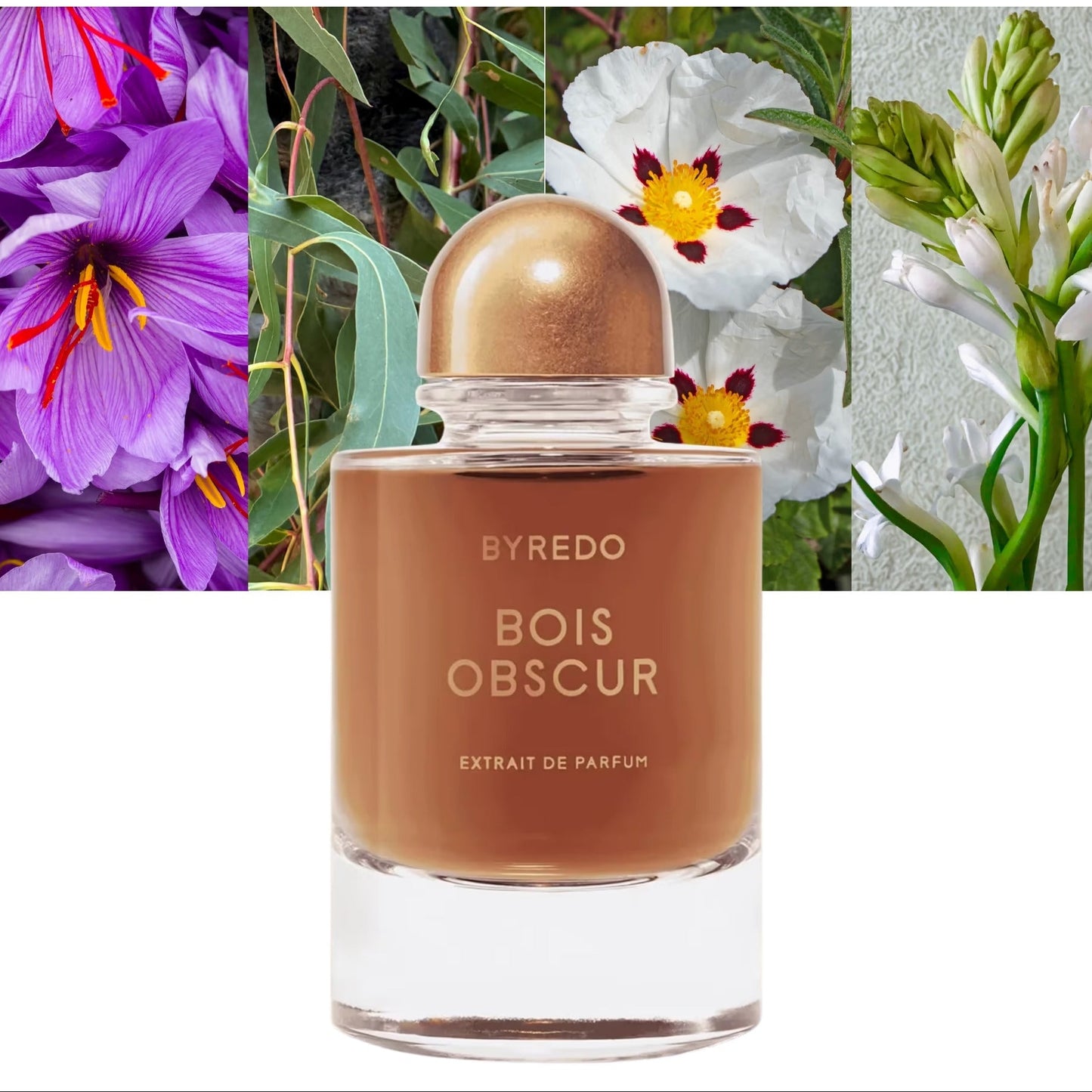 Byredo Bois Obscur Extrait De Parfum For Men & Women 70 ML