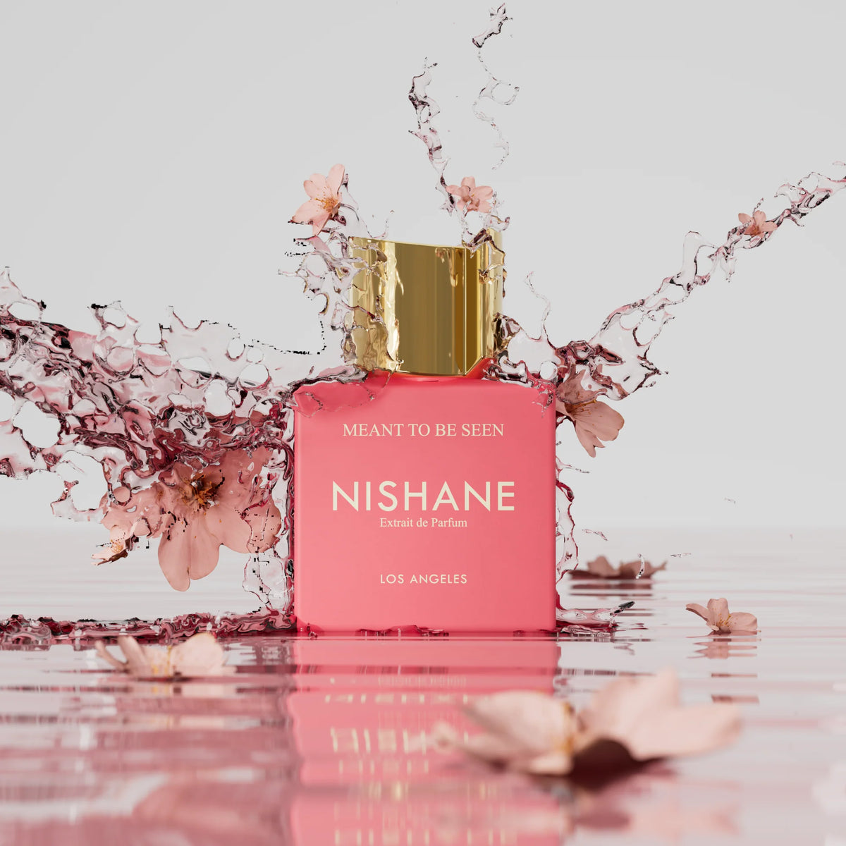 Nishane Meant To Be Seen Extrait De Parfum For Men & Women 100 ML
