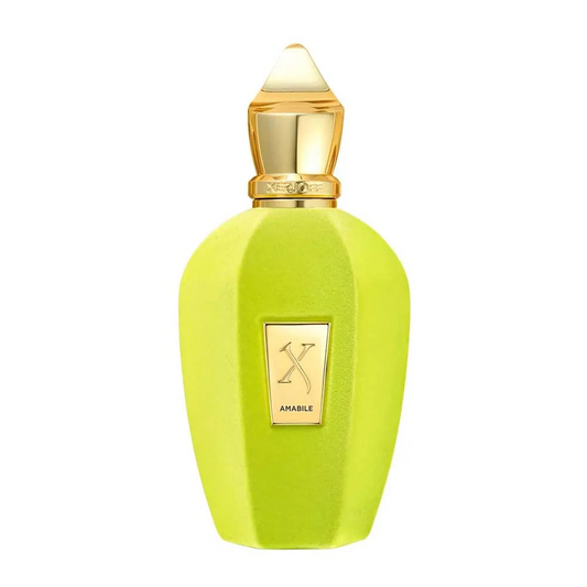Xerjoff Amabile Eau De Parfum For Men & Women 100 ML