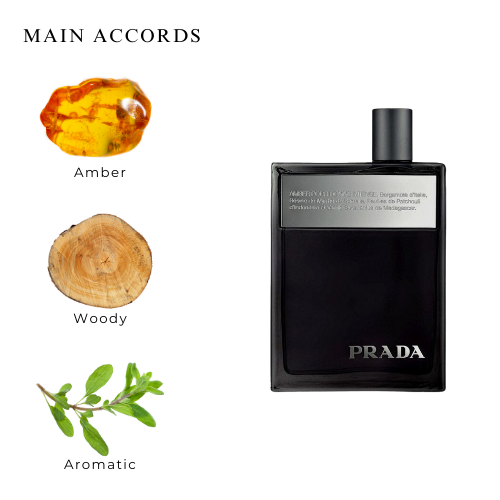 Prada Amber Pour Homme Intense Eau De Parfum for Men 100 ML