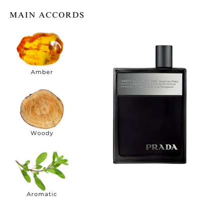 Prada Amber Pour Homme Intense Eau De Parfum for Men 100 ML