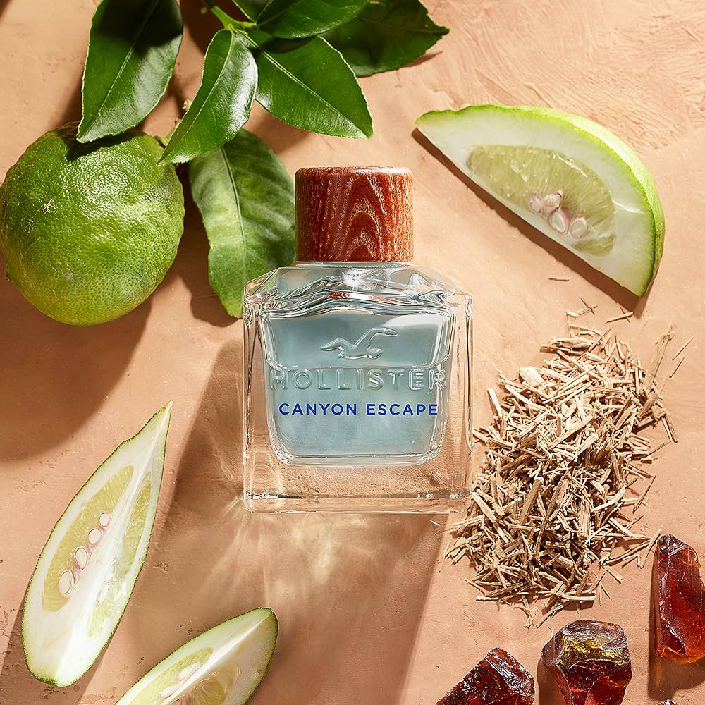 Hollister Canyon Escape Eau De Toilette for Men 100 ML