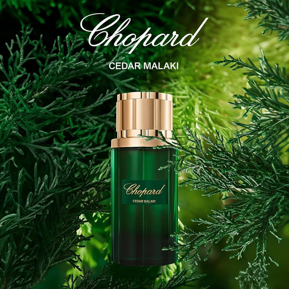 Chopard Cedar Malaki Eau De Parfum For Men & Women 80 ML