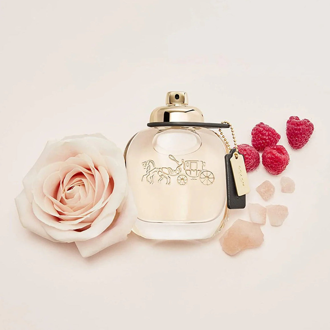 Coach the Fragrance Eau De Parfum For Women 90 ML