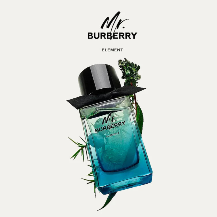 Burberry Mr. Element Eau De Toilette for Men 100 ML