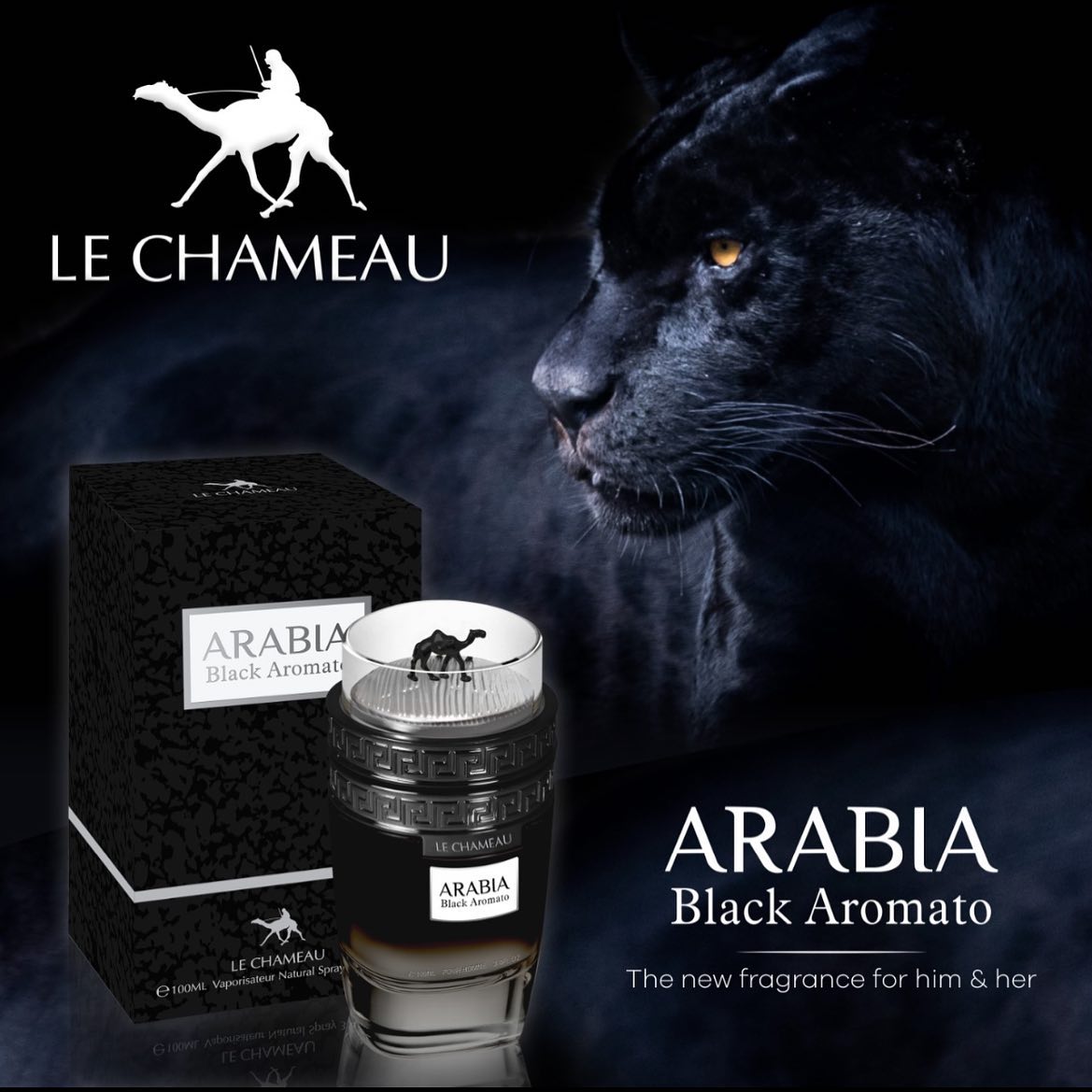 Le Chameau Emper Arabia Black Aromato Eau De Parfum For Men & Women 100 ML