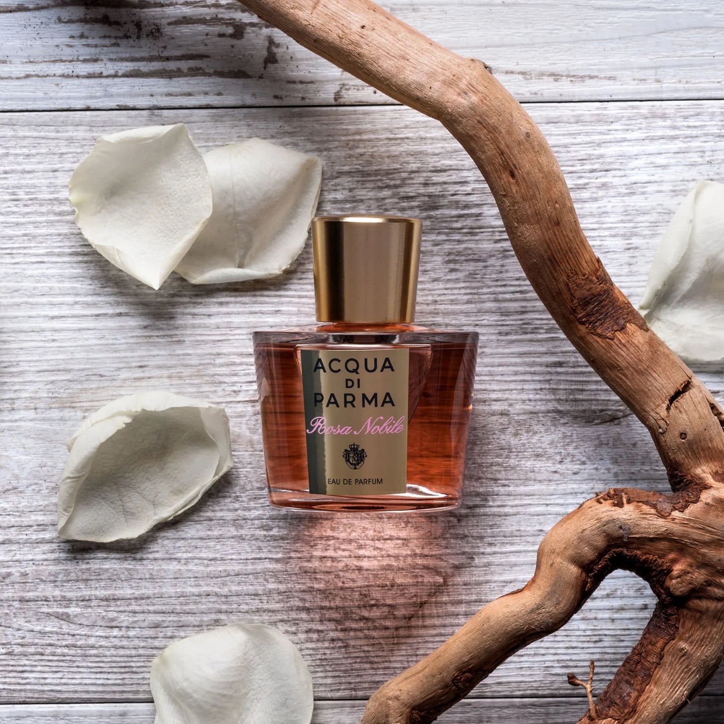 Acqua Di Parma Rosa Nobile Eau De Parfum For Women 100 ML