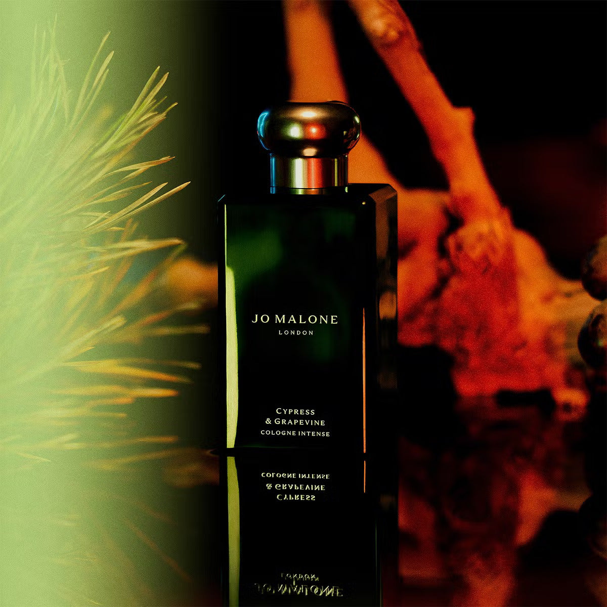Jo Malone London Cypress & Grapevine Cologne Intense For Men & Women 100 ML