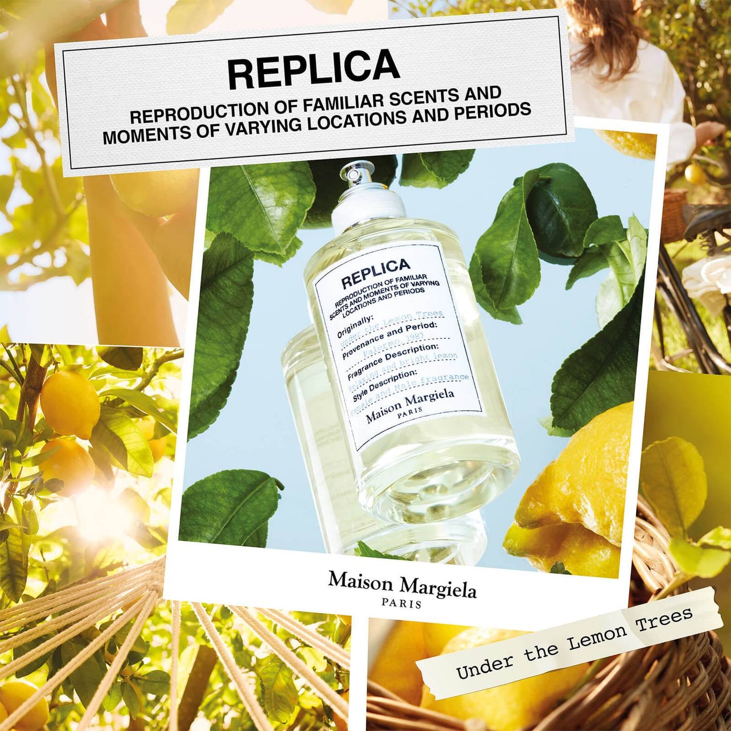 Maison Margiela Replica Under The Lemon Trees Eau De Toilette For Men & Women 100 ML