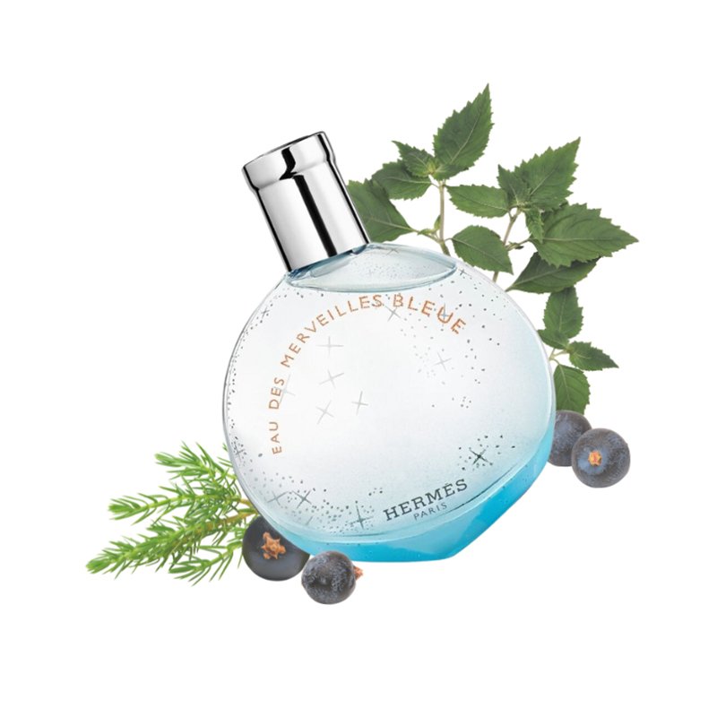 Hermes Eau Des Merveilles Bleue Eau De Toilette For Women