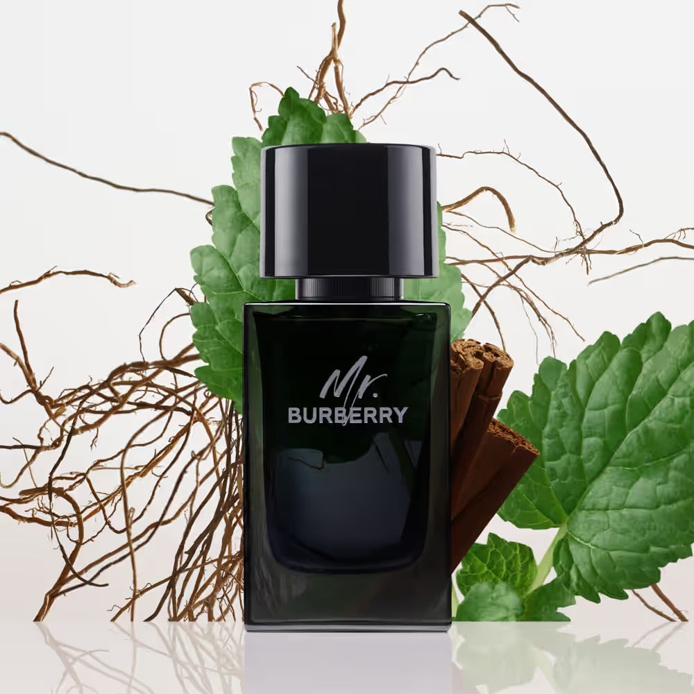 Burberry Mr Burberry Eau De Parfum For Men 100 ML