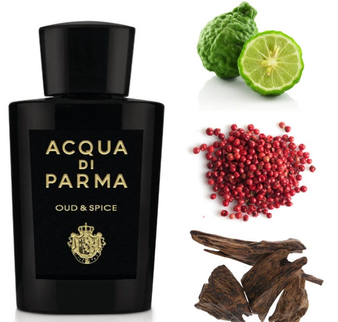 Acqua Di Parma Oud & Spice Eau De Parfum For Men 100 ML