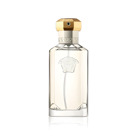 Versace Dreamer Eau De Toilette for Men 100 ML