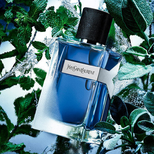 Yves Saint Laurent Y Iced Cologne Eau De Toilette Intense For Men 100 ML (2025 Release)