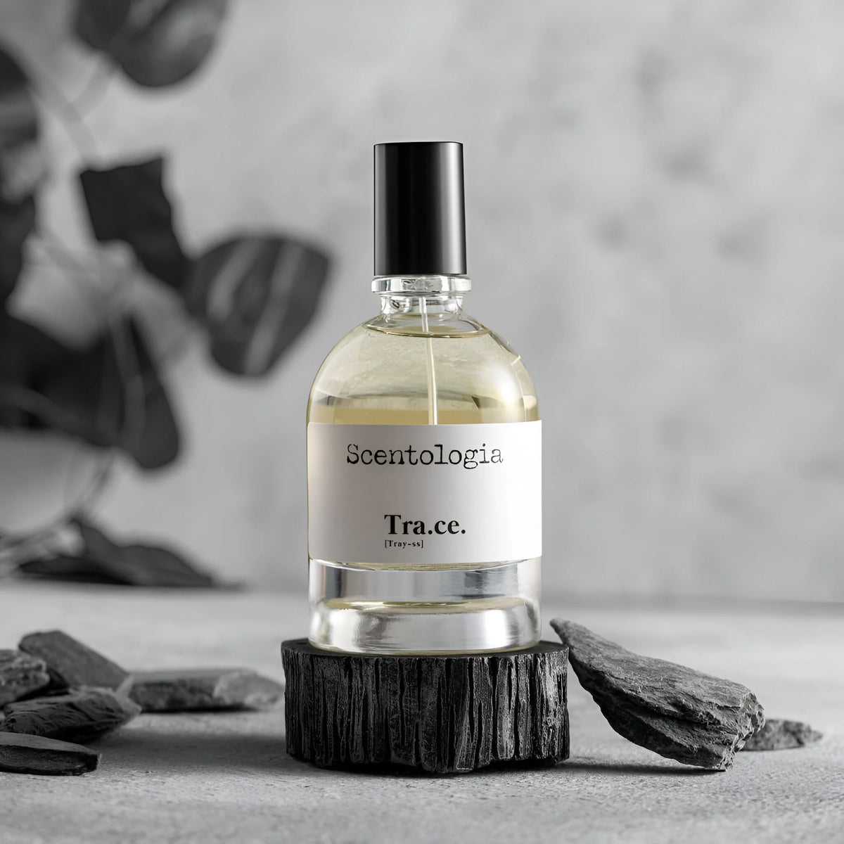 Scentologia Tra.ce. Eau De Parfum For Men & Women 100 ML
