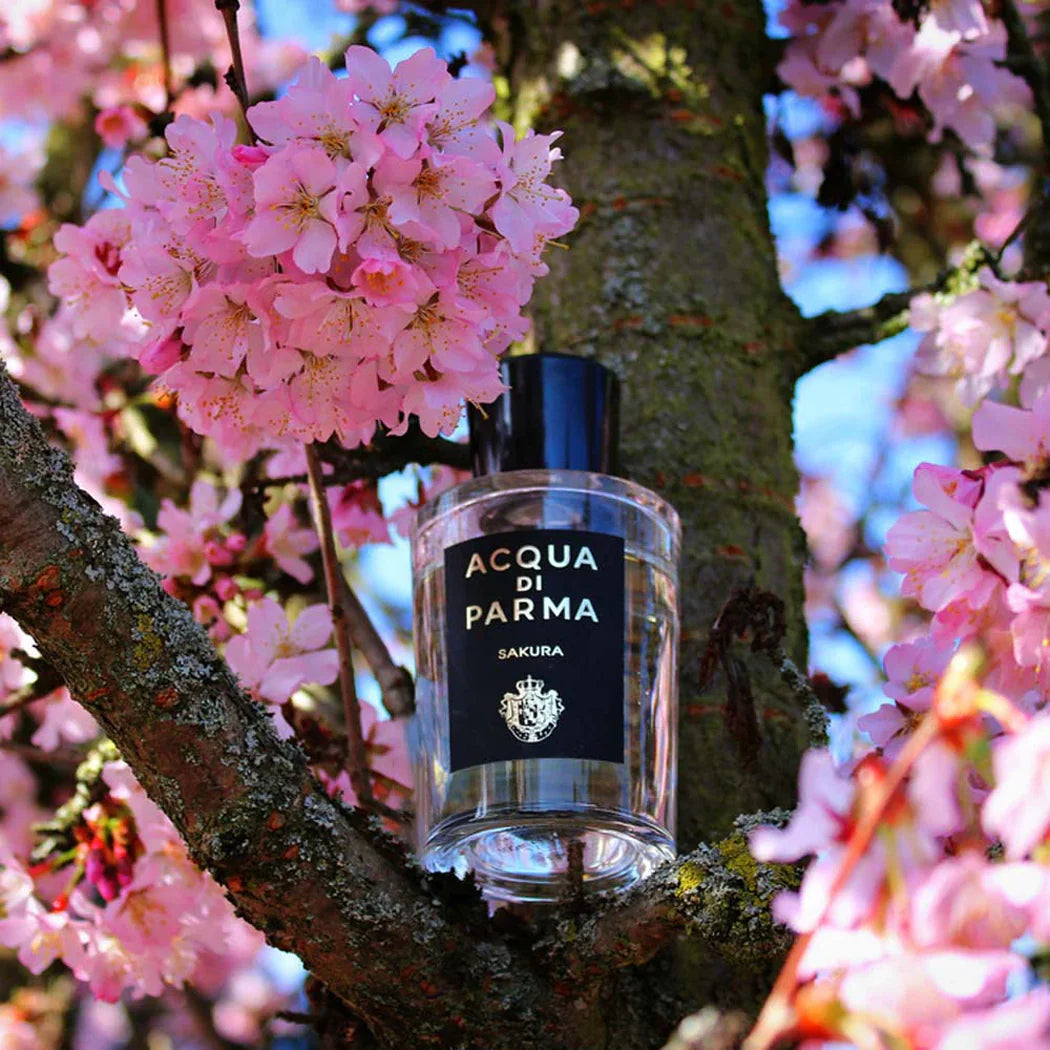 Acqua Di Parma Sakura Eau De Parfum For Men & Women 100 ML