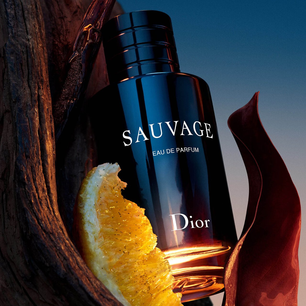 Dior Sauvage Eau De Parfum for Men