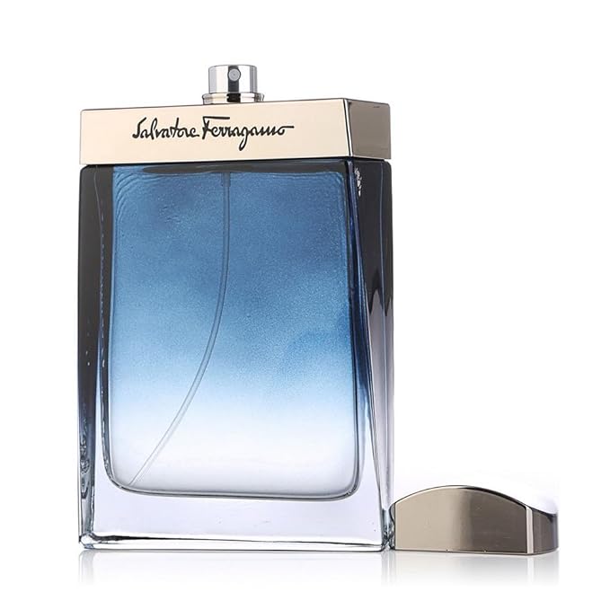 Salvatore Ferragamo Subtil Pour Homme Eau De Toilette For Men 100 ML