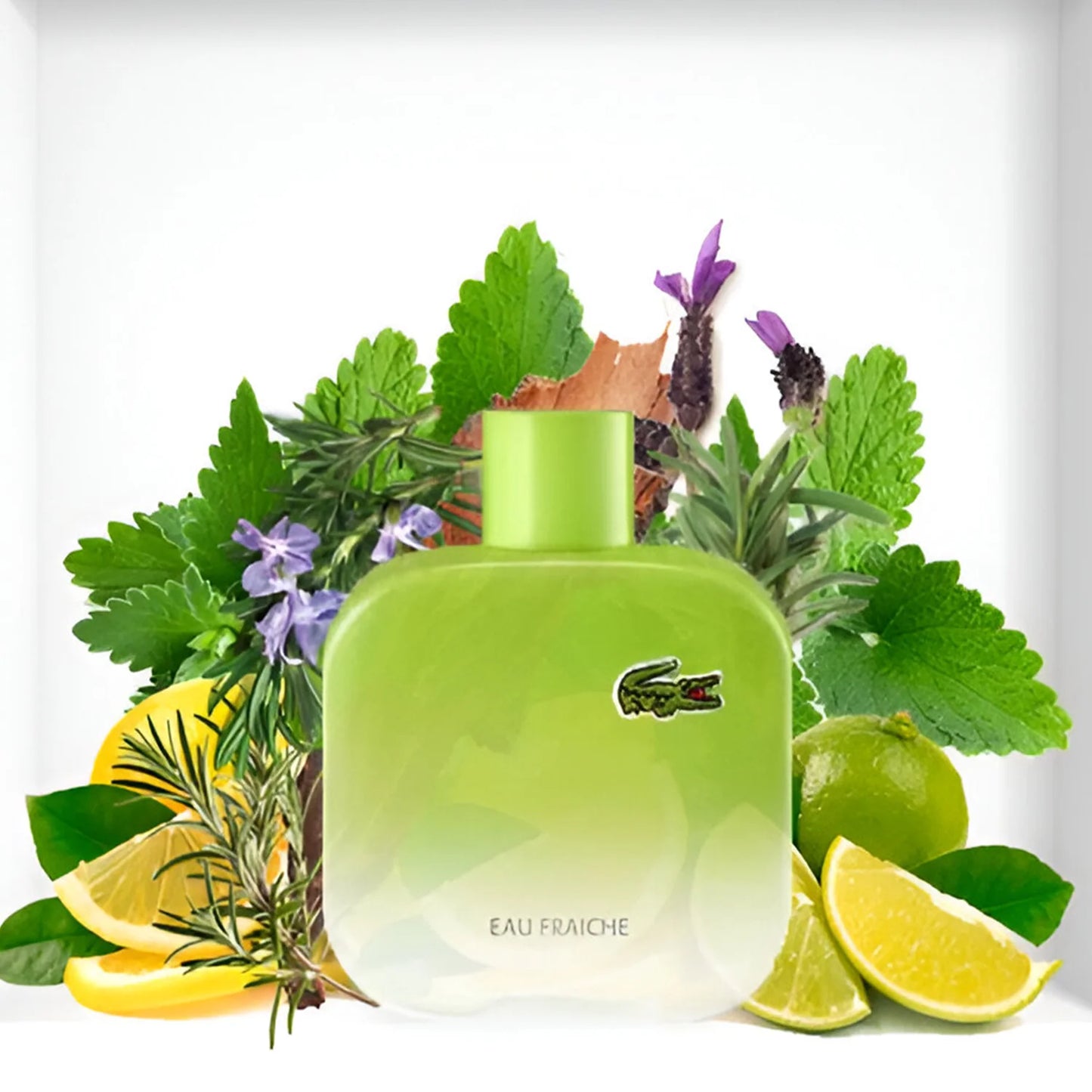 Lacoste L 12 12 Pour Lui Eau Fraiche Eau De Toilette For Men 100 ML
